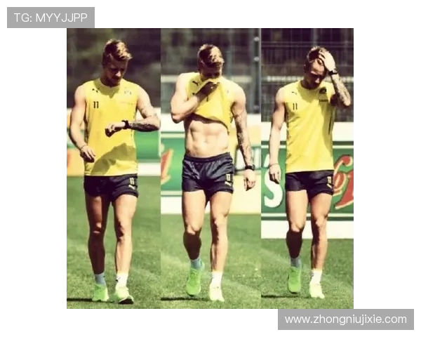 足球明星帅哥罗伊斯的传奇之路与场上风采全解析