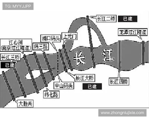 南京排球队实力分析与发展潜力探讨聚焦排球运动的未来之路