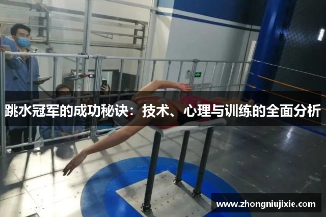 跳水冠军的成功秘诀：技术、心理与训练的全面分析