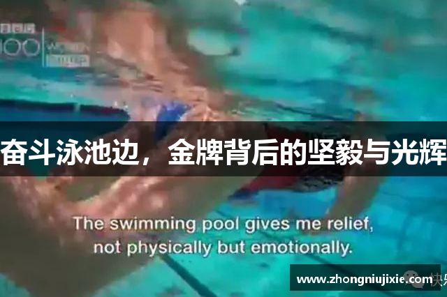 奋斗泳池边，金牌背后的坚毅与光辉