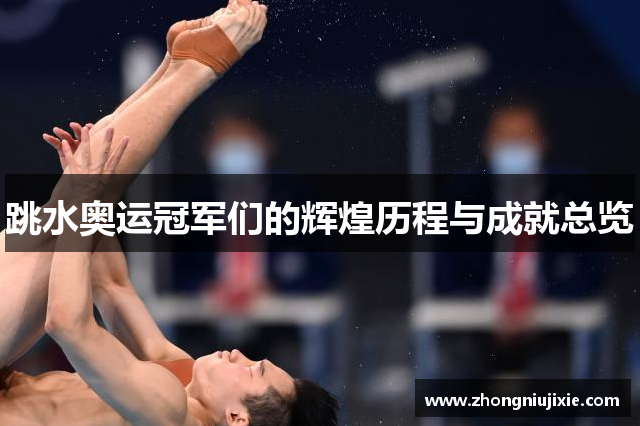 跳水奥运冠军们的辉煌历程与成就总览