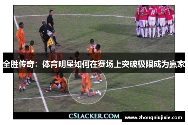 全胜传奇：体育明星如何在赛场上突破极限成为赢家