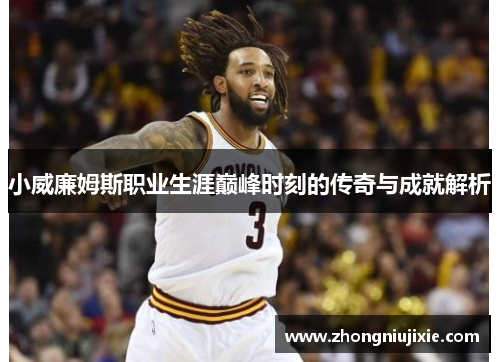 小威廉姆斯职业生涯巅峰时刻的传奇与成就解析